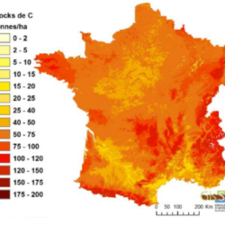 Stocks de carbone France - GIS Sols - France