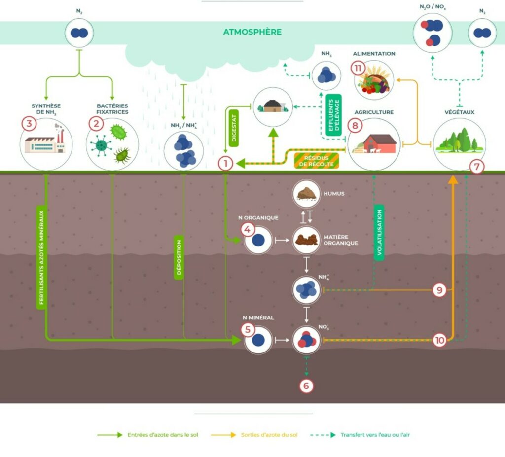 Les outils numériques pour la fertilisation azotée