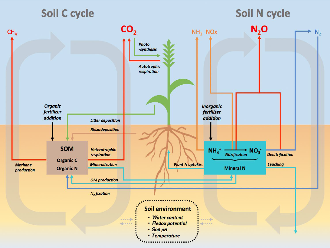 The Reasoning Of Nitrogen Fertilization By Digital Tools A Rather The Reasoning Of Nitrogen Fertilization By Digital Tools A Rather