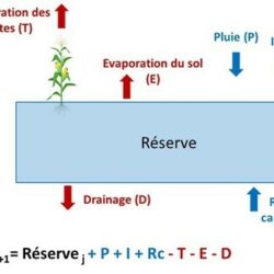 Corrigé des exercices :Le cycle et le bilan hydrologiques